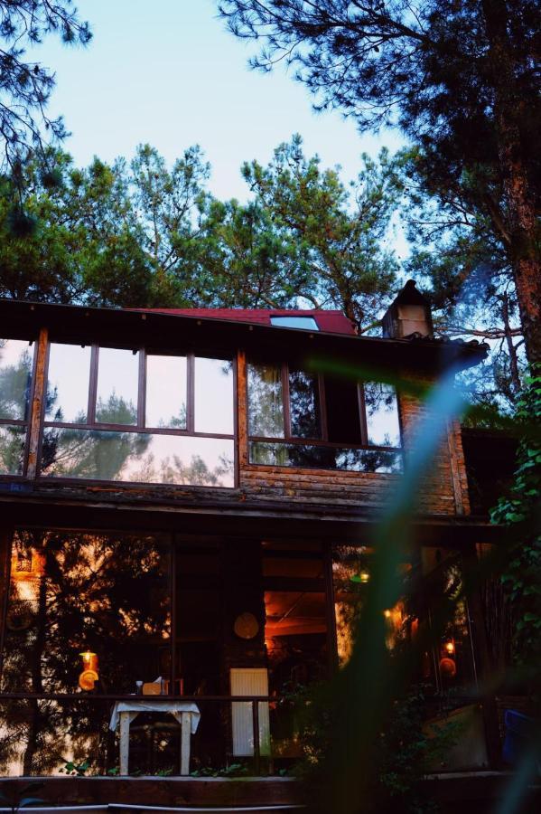 Kayserkaya Cottages Сельчук Экстерьер фото